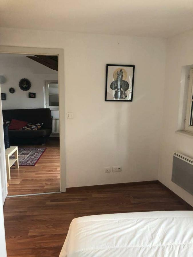 Appartement Avec Balcon Centre Ville 斯特拉斯堡 外观 照片